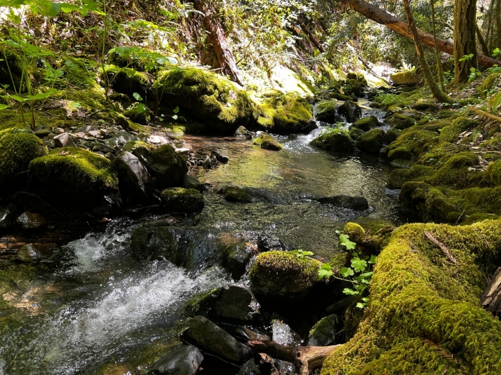 Mendocino County